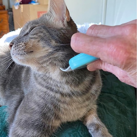 Cat Comb for Short & Long Hair Removal Soft Massaging Deshedding Pet Comb - Picture 5 of 6